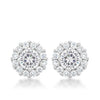 Bella Bridal Earrings in Clear