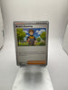 Pokemon Brock’s Scouting