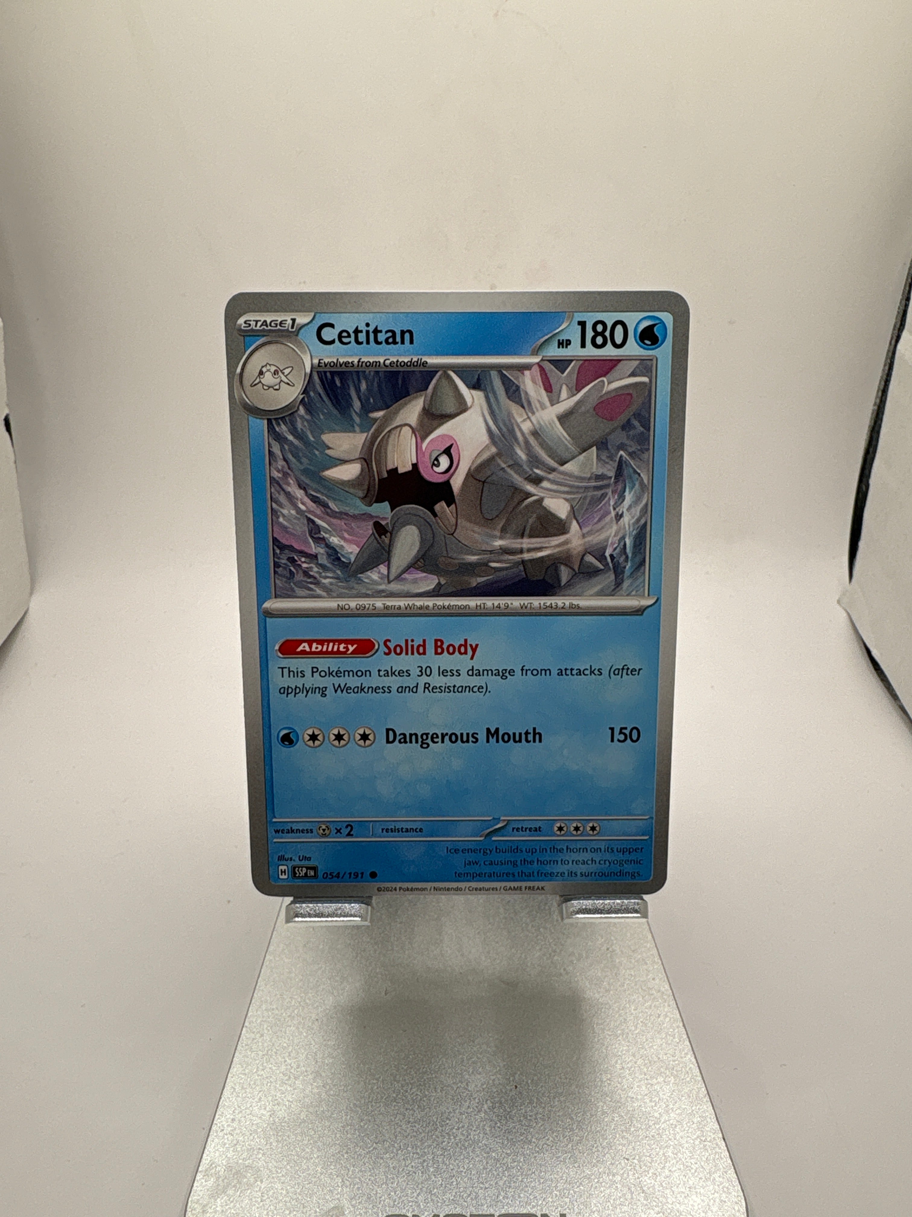 Pokemon Cetitan