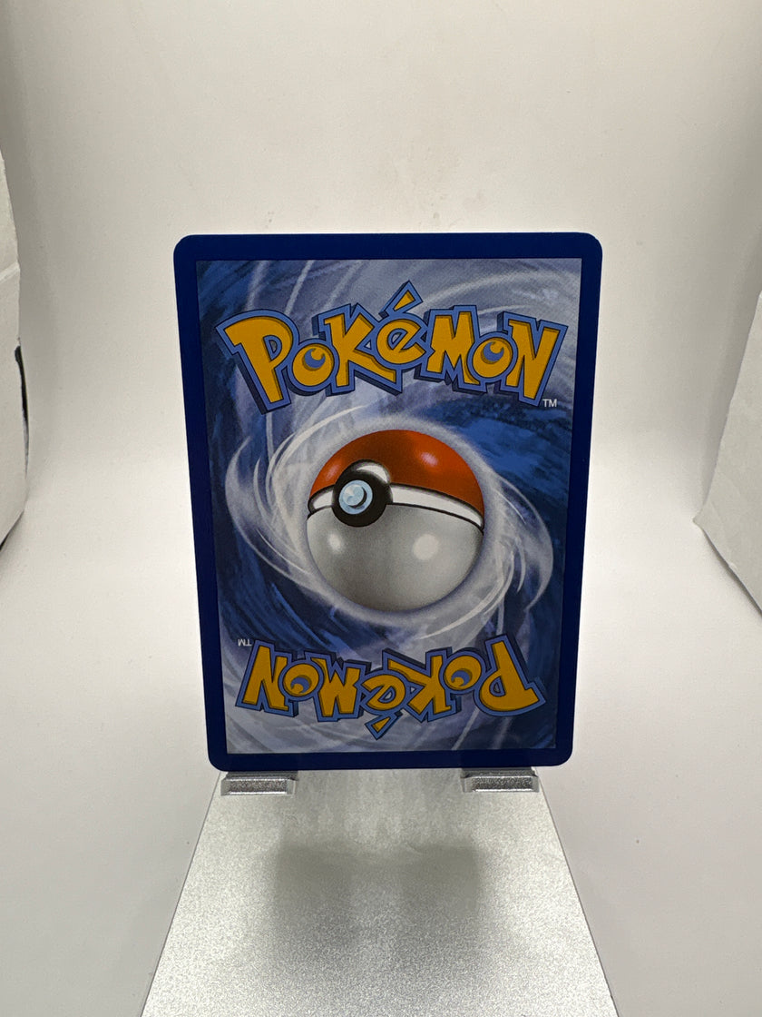 Pokemon N’s Zorua