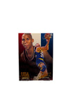 Flair Reggie Miller