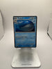 Pokemon Wailord