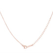 Arianna Rose Gold Stainless Steel Arrow Necklace