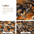 Calico