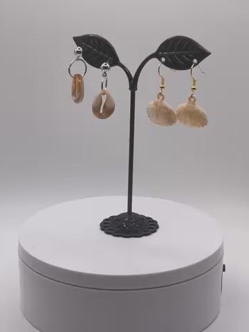 Cowry Shell Earrings